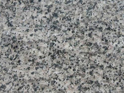 臨沂盛華石材 地板芝麻黑石材生產(chǎn)廠家 南通芝麻黑石材生產(chǎn)廠家